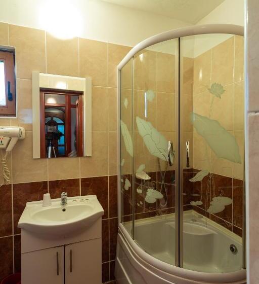 Pensiunea Casa Porojan