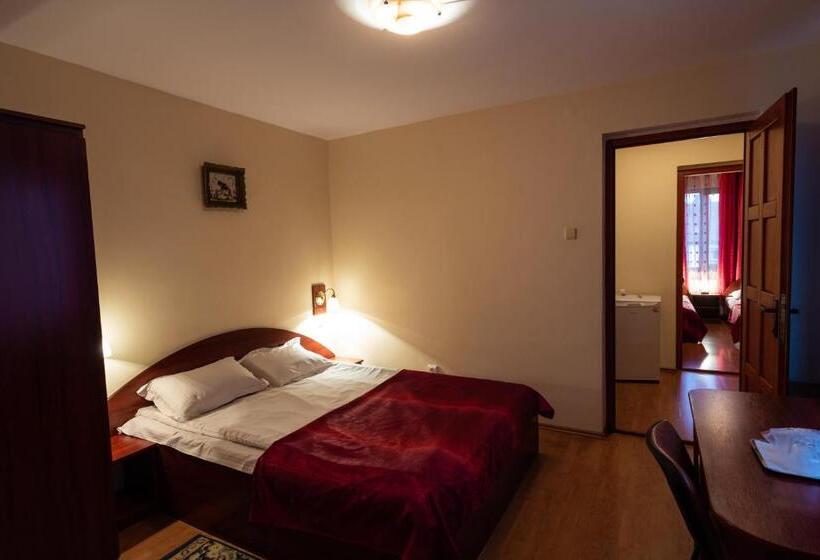 Pensiunea Casa Porojan