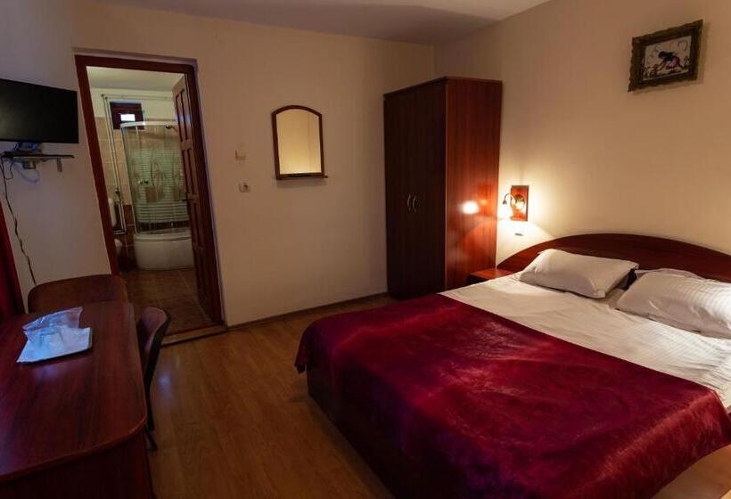 Pensiunea Casa Porojan