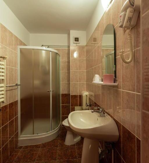 Pensiunea Casa Porojan