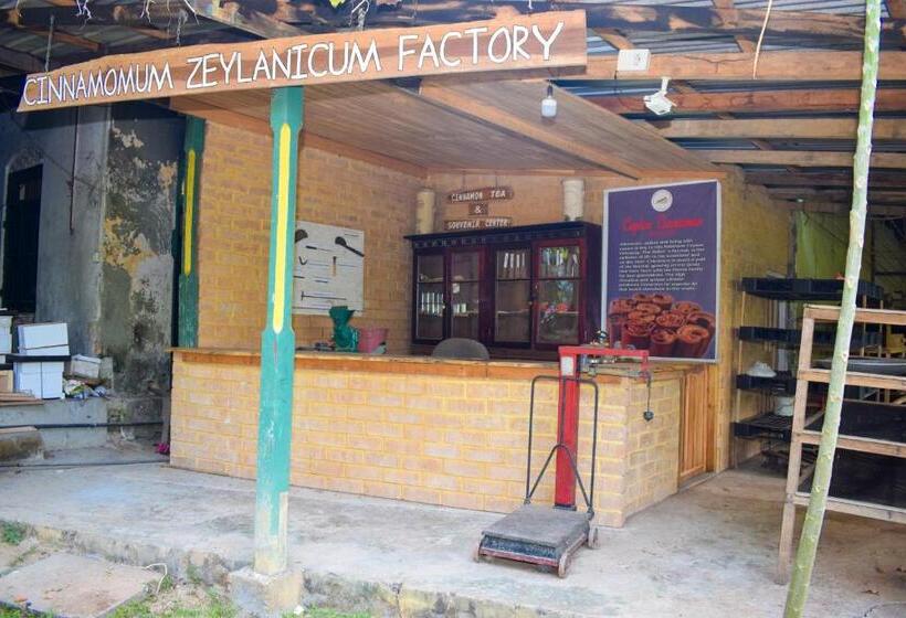 リゾートホテル Rafters Retreat