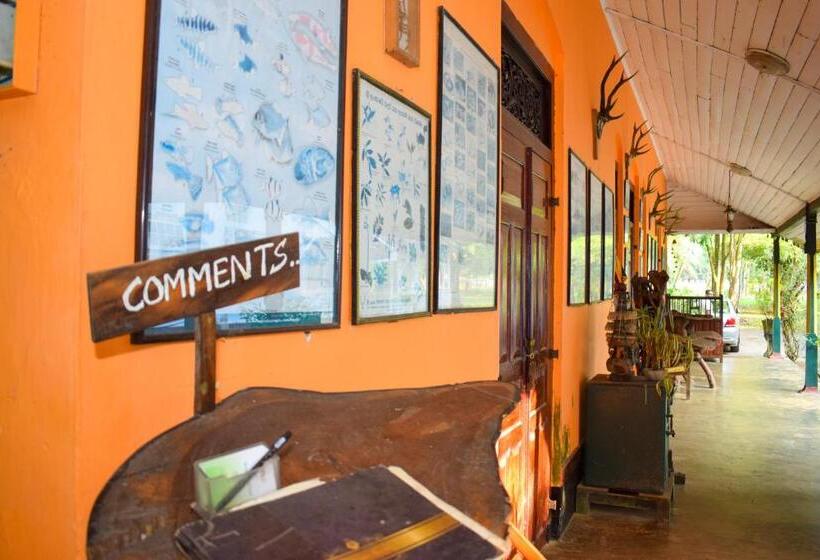 リゾートホテル Rafters Retreat