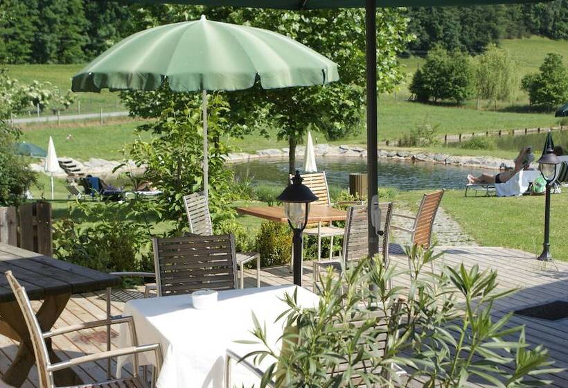 Genuss  Und Wellnesshotel Puchas Kukmirn