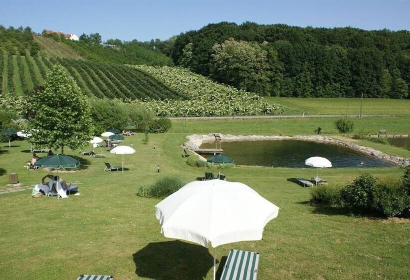 Genuss  Und Wellnesshotel Puchas Kukmirn