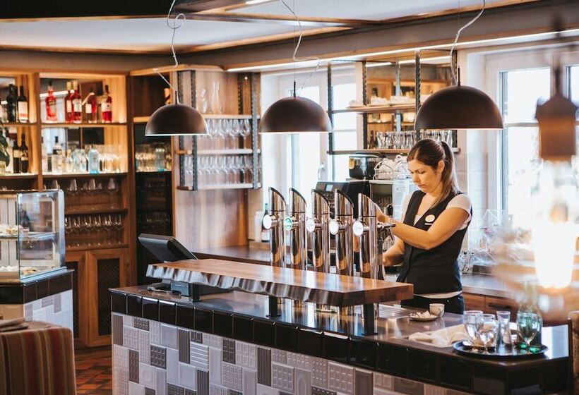 Business Hotel Stockinger