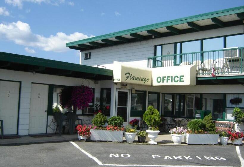Flamingo Motel