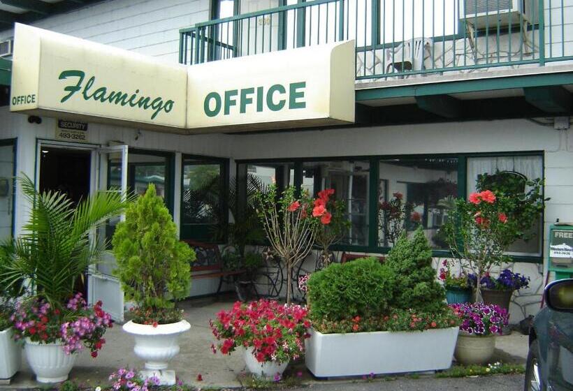 Flamingo Motel