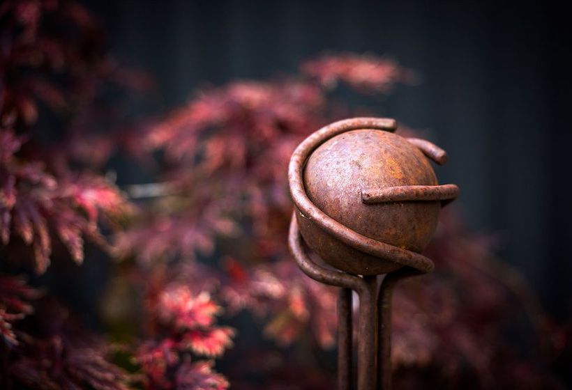 Hatherley Birrell Collection