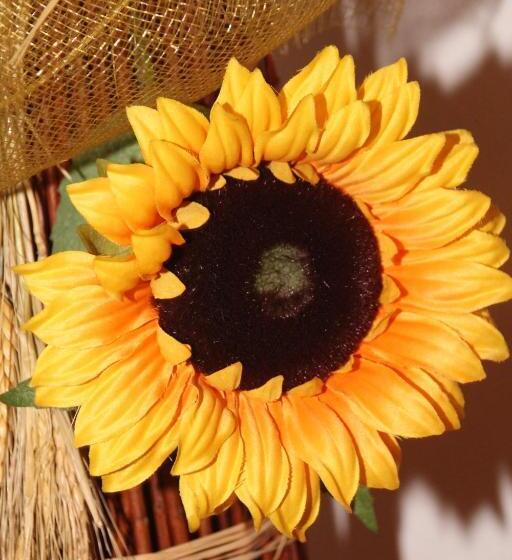 酒店 Albergo Caravasc