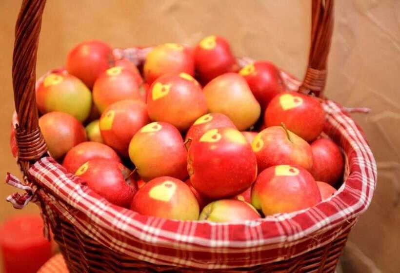 هتل Bergland Superior