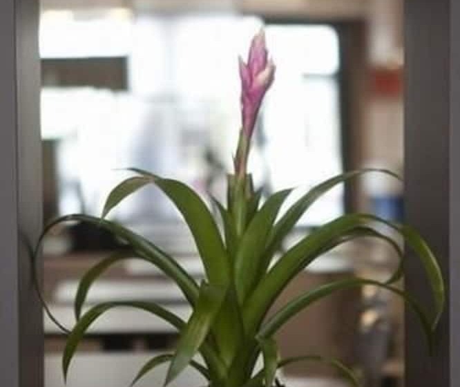 هتل Cecyl Reims Centre