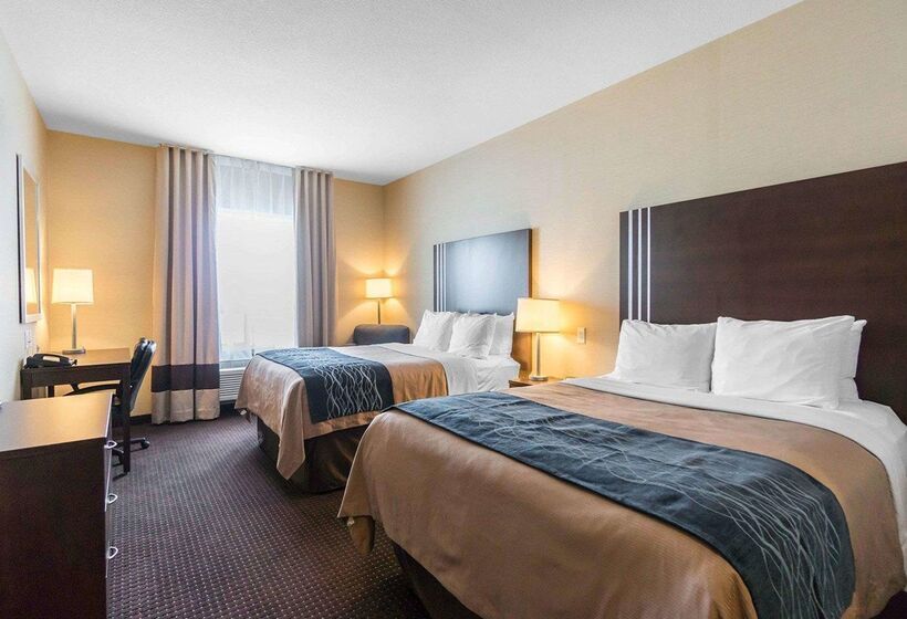 فندق Comfort Inn & Suites