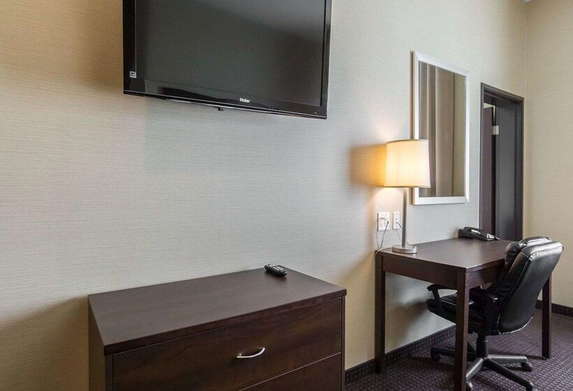 فندق Comfort Inn & Suites