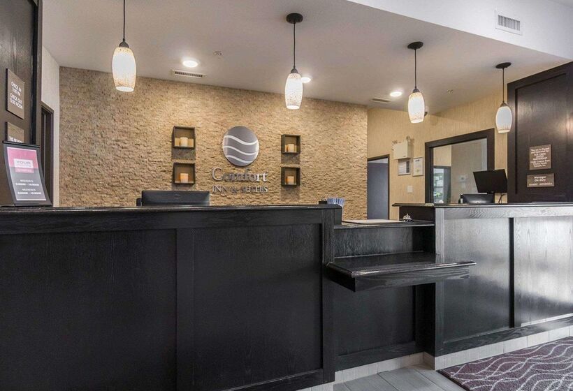 فندق Comfort Inn & Suites