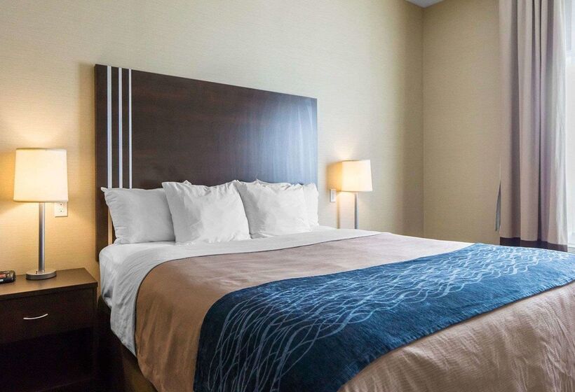 فندق Comfort Inn & Suites