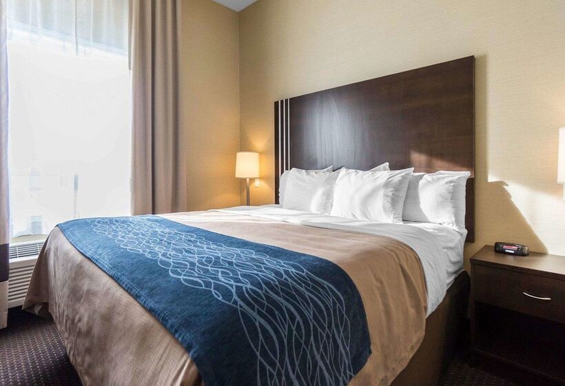 فندق Comfort Inn & Suites