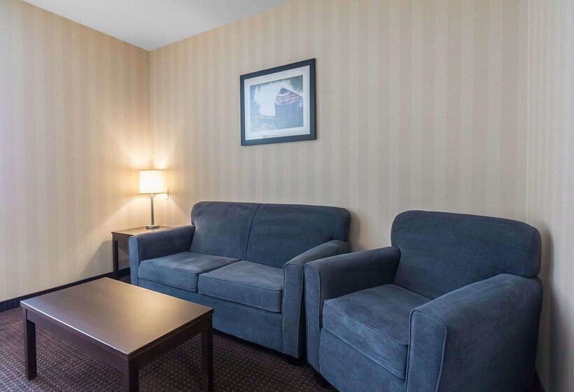 فندق Comfort Inn & Suites