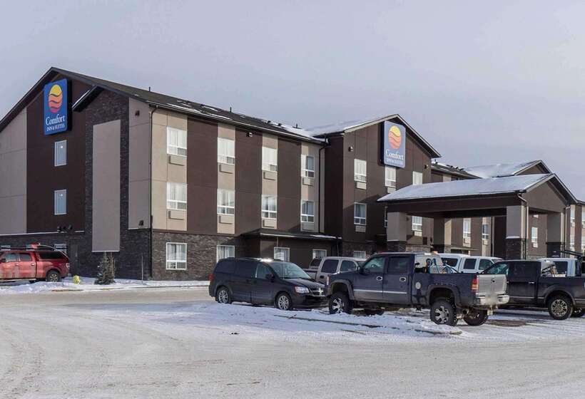 فندق Comfort Inn & Suites