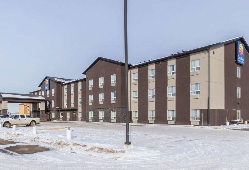 فندق Comfort Inn & Suites