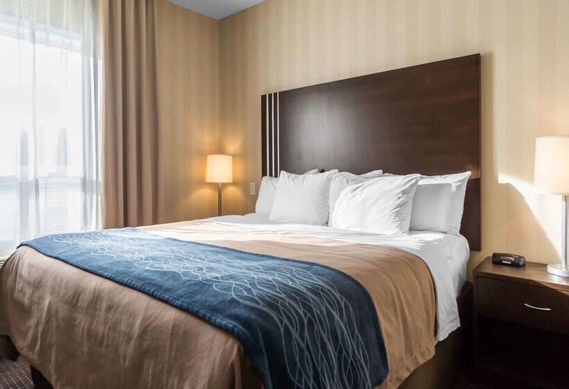 فندق Comfort Inn & Suites