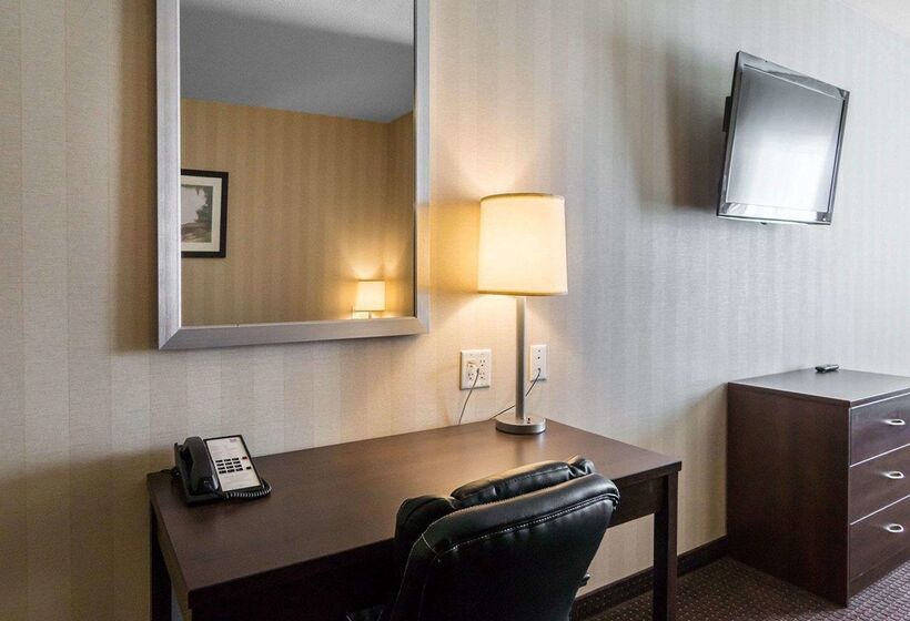 فندق Comfort Inn & Suites