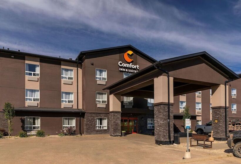 فندق Comfort Inn & Suites