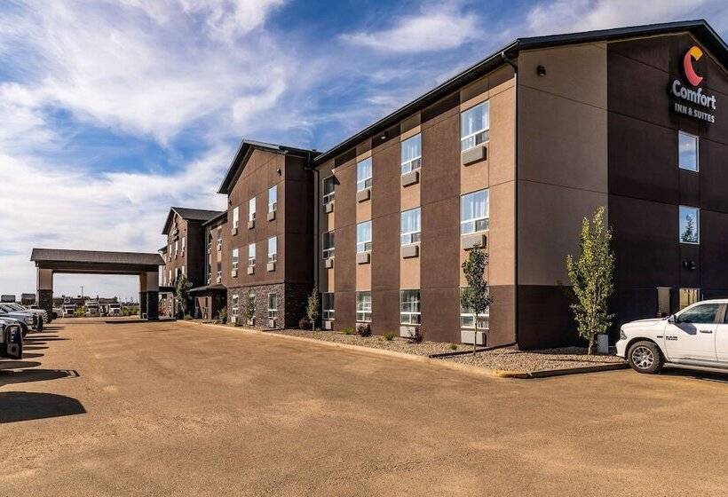 فندق Comfort Inn & Suites