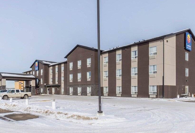 فندق Comfort Inn & Suites