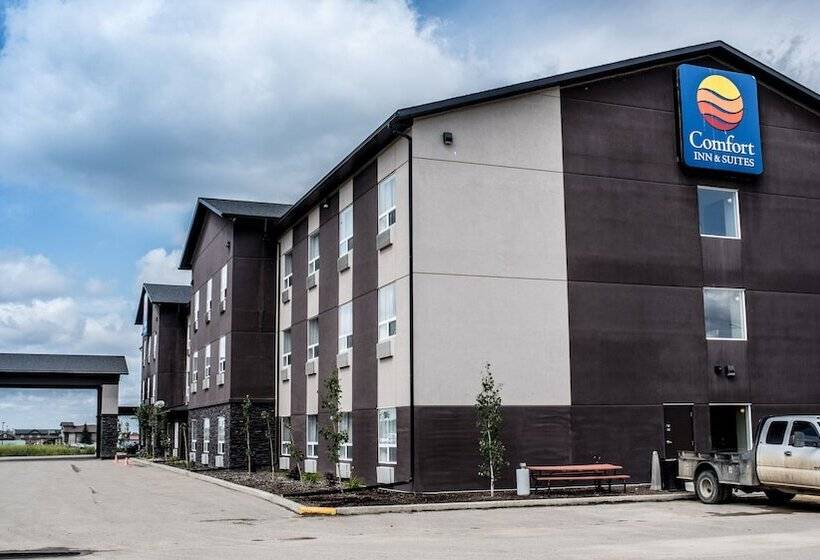 فندق Comfort Inn & Suites