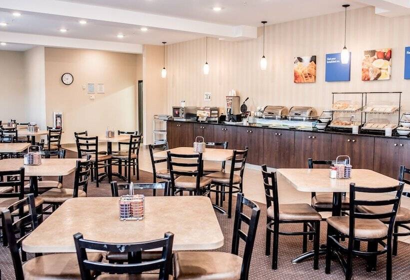 فندق Comfort Inn & Suites