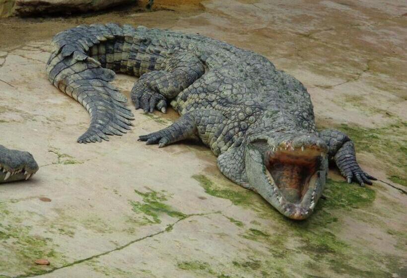 בית מלון כפרי Du Centre