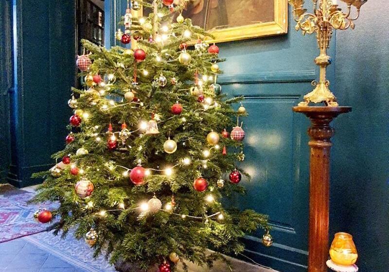 酒店 Du Cygne Tours