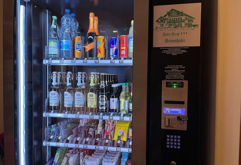 호텔 Garni Brunnthaler