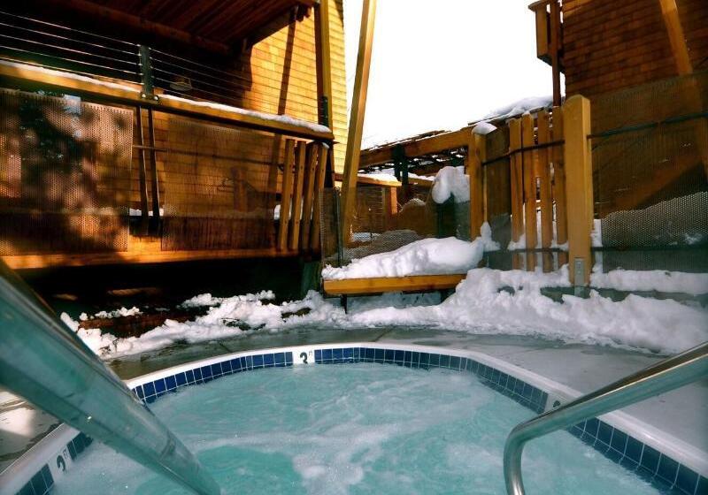 酒店 Gravity Haus Truckeetahoe