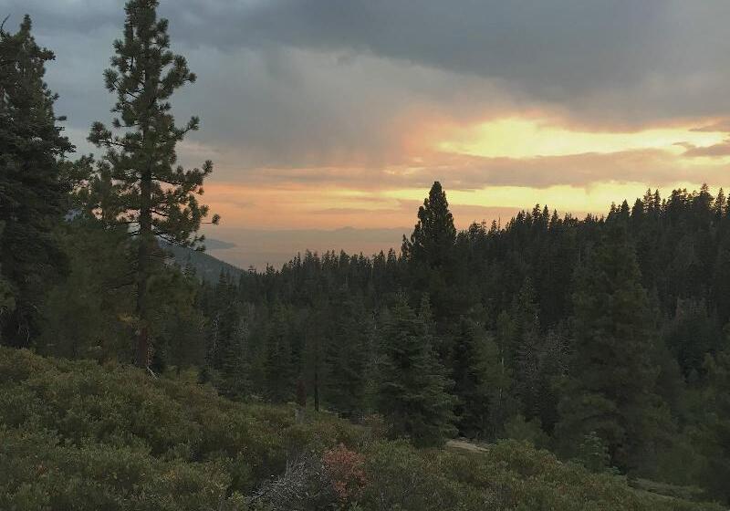 فندق Gravity Haus Truckeetahoe