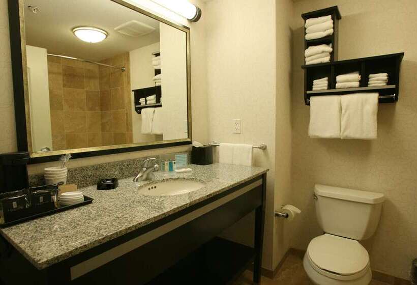 בית מלון כפרי Hampton Inn & Suites By Hilton Red Deer