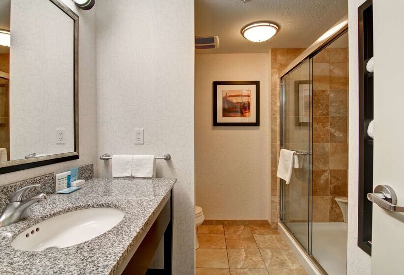 בית מלון כפרי Hampton Inn & Suites By Hilton Red Deer