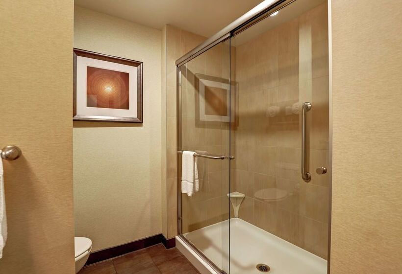 Отель Hampton Inn By Hilton Chilliwack