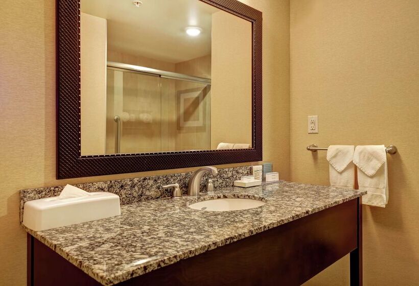 בית מלון כפרי Hampton Inn By Hilton Chilliwack