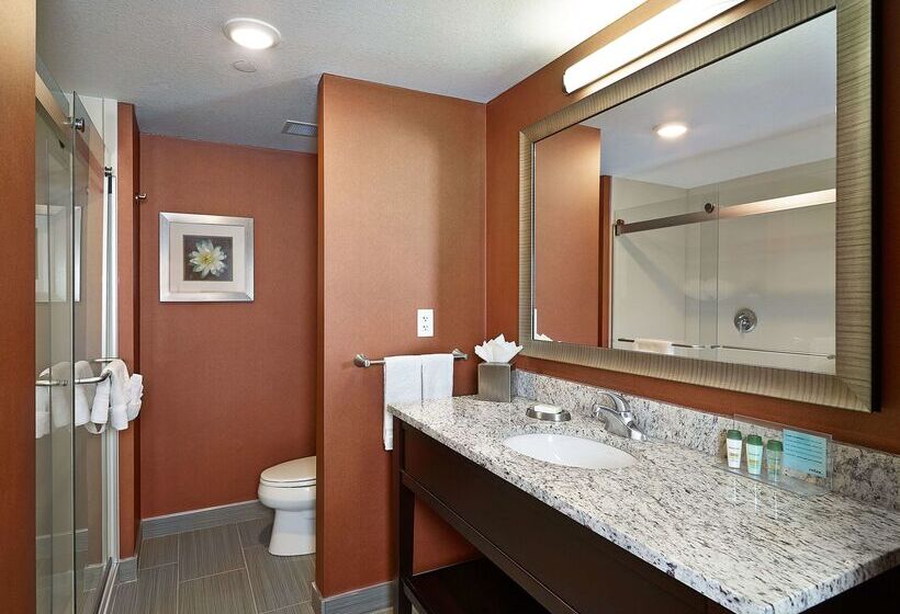 בית מלון כפרי Hampton Inn By Hilton Calgary Airport North