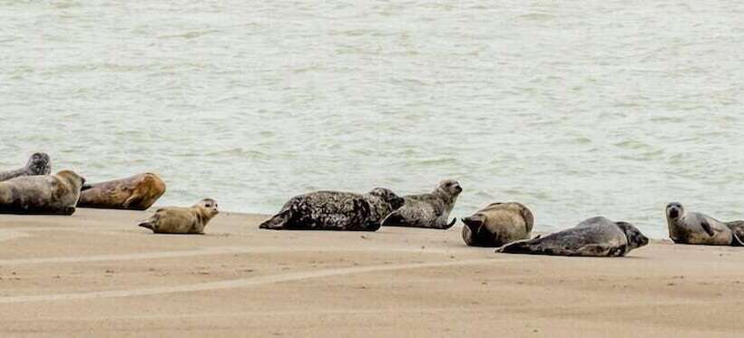 בית מלון כפרי Hidden Bay