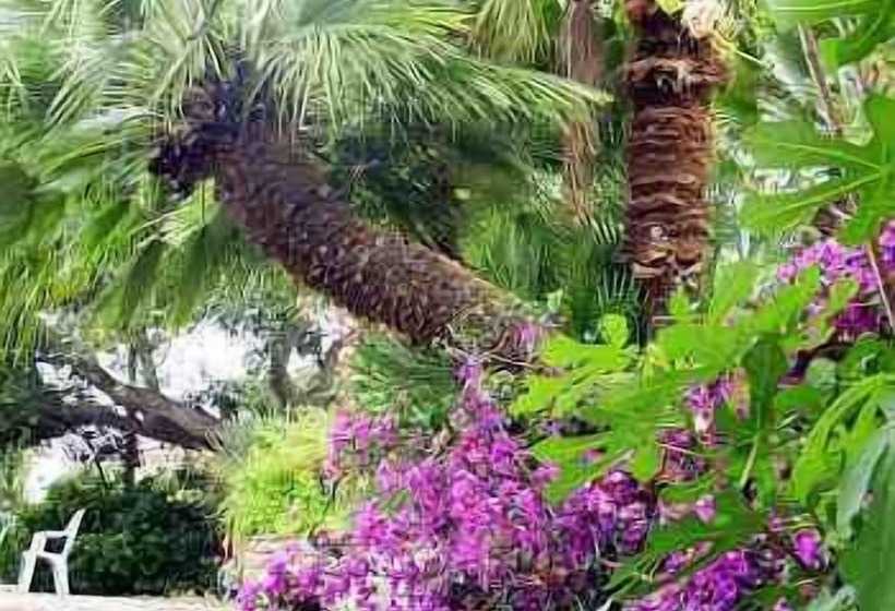 בית מלון כפרי Hôtel Paradis