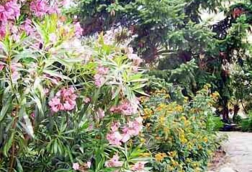 בית מלון כפרי Hôtel Paradis