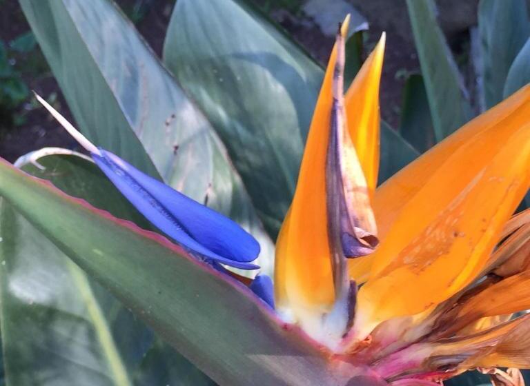 בית מלון כפרי Hôtel Paradis