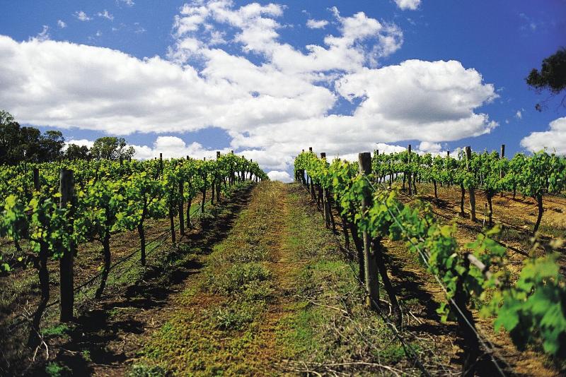 Отель Ibis Budget Marmande