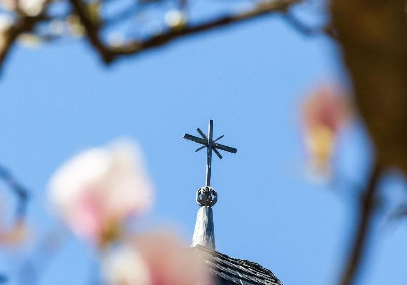 هتل Kardinal Schulte Haus