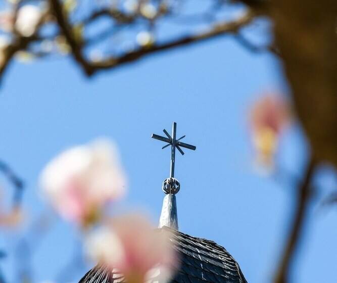 هتل Kardinal Schulte Haus