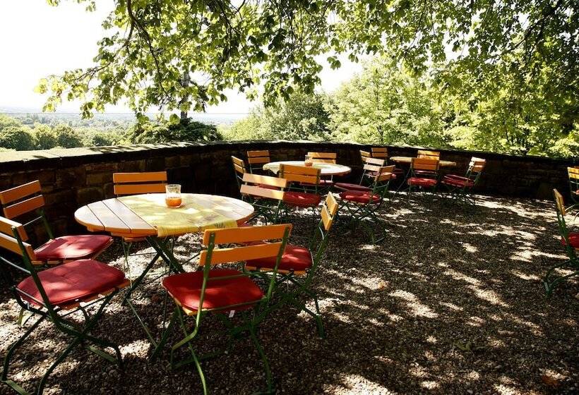 هتل Kardinal Schulte Haus