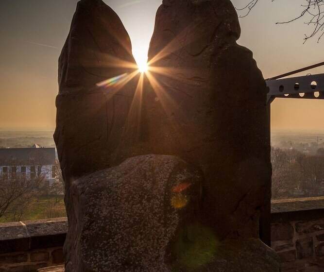 هتل Kardinal Schulte Haus