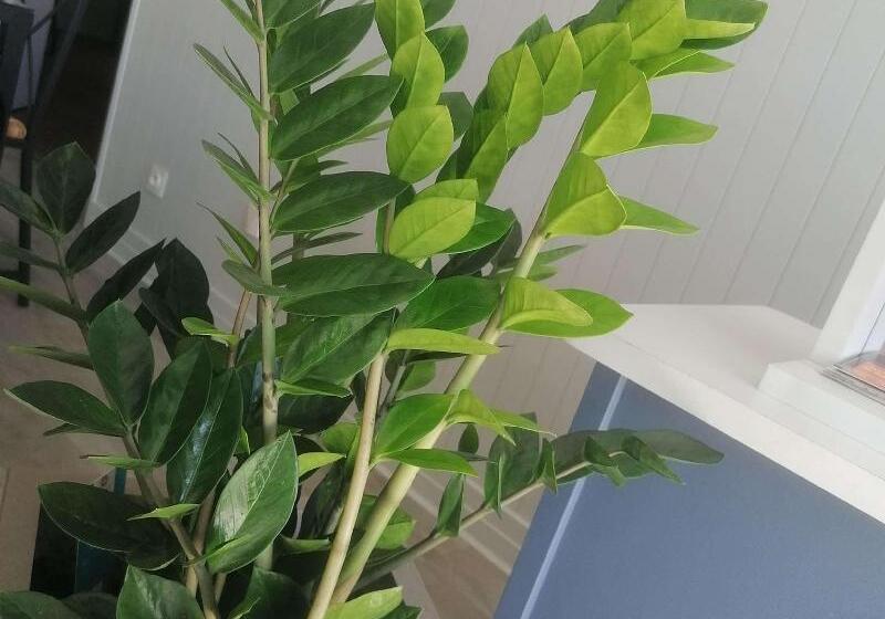 호텔 Kyriad Direct Saintes